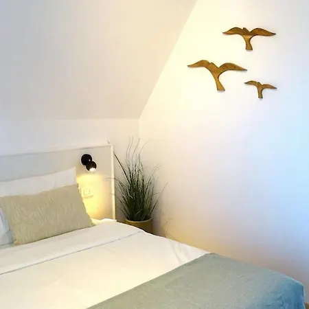 Interno12 Luminoso Bilocale Tra I Tetti