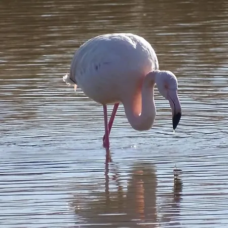 Interno12 Luminoso Bilocale Tra I Tetti * サン・ベネデット・デル・トロント