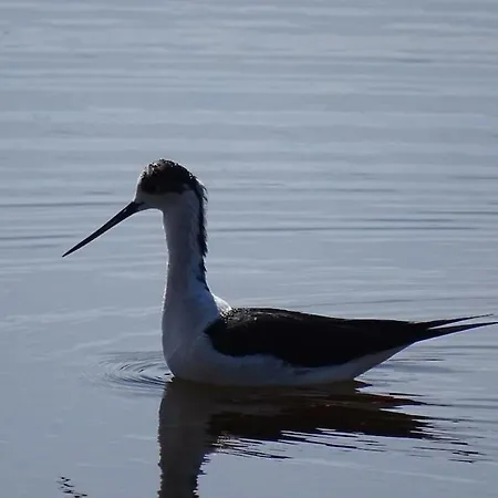 Interno12 Luminoso Bilocale Tra I Tetti *